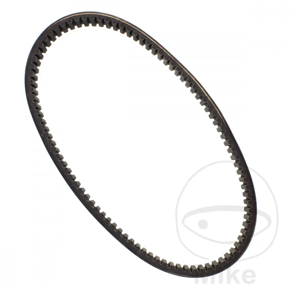 DAYCO 駆動ベルト 30.0 x 1038