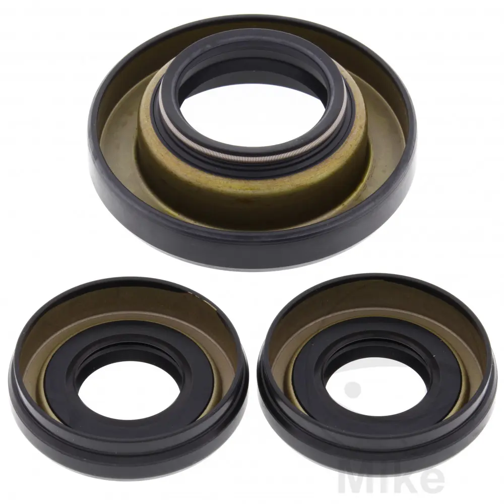 Reparatursatz Differential All Balls Racing
