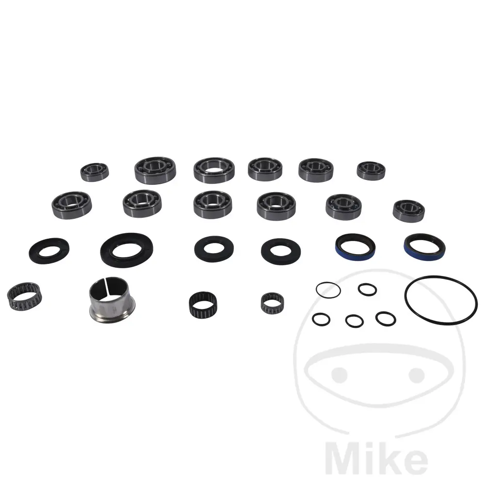 All Balls volledig differentieel reparatieset