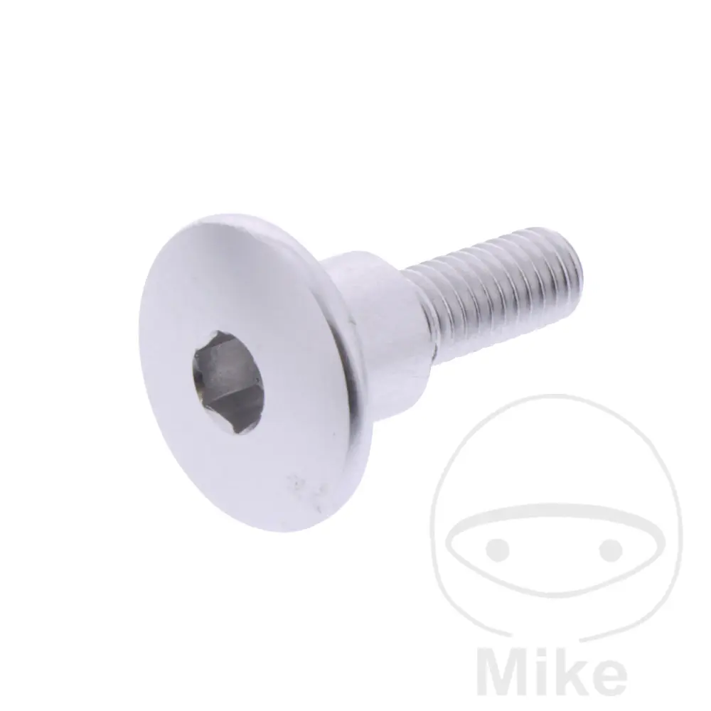 JMP Bolt 凸头螺栓 M6X1.00 mm 22 mm 铝制 银色