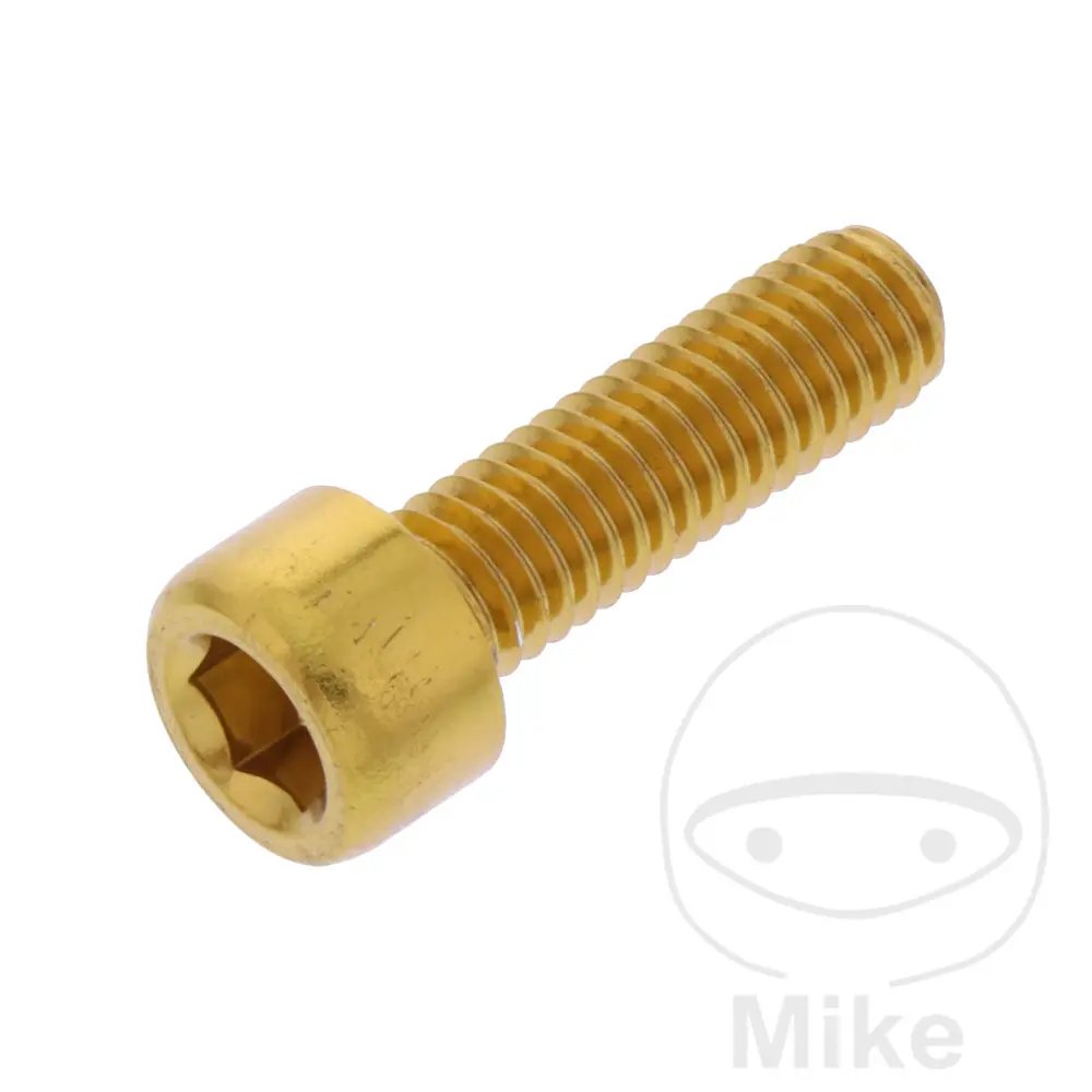 BTR CHC JMP Bolt M6X1.00 mm 20 mm Alu or cıvata