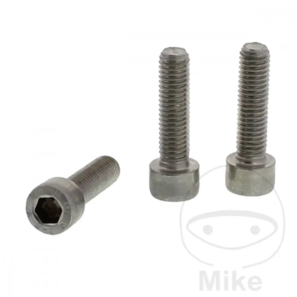 স্টেইনলেস স্টিল ড্রেসেলহাউস CHC DIN 912 স্ক্রু M8x1.25 30 mm