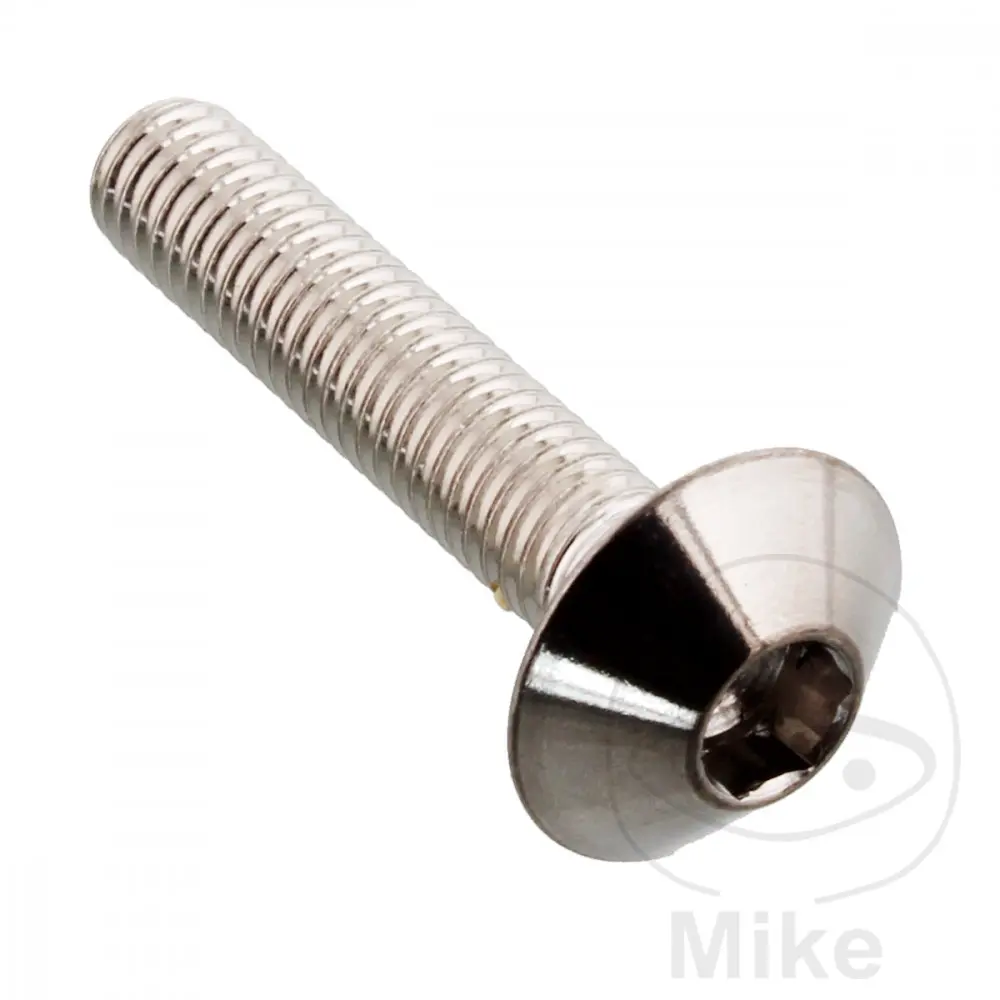 JMP V4A 스테인리스 스틸 M5x0.8 mm 25 mm 돔 헤드 볼트