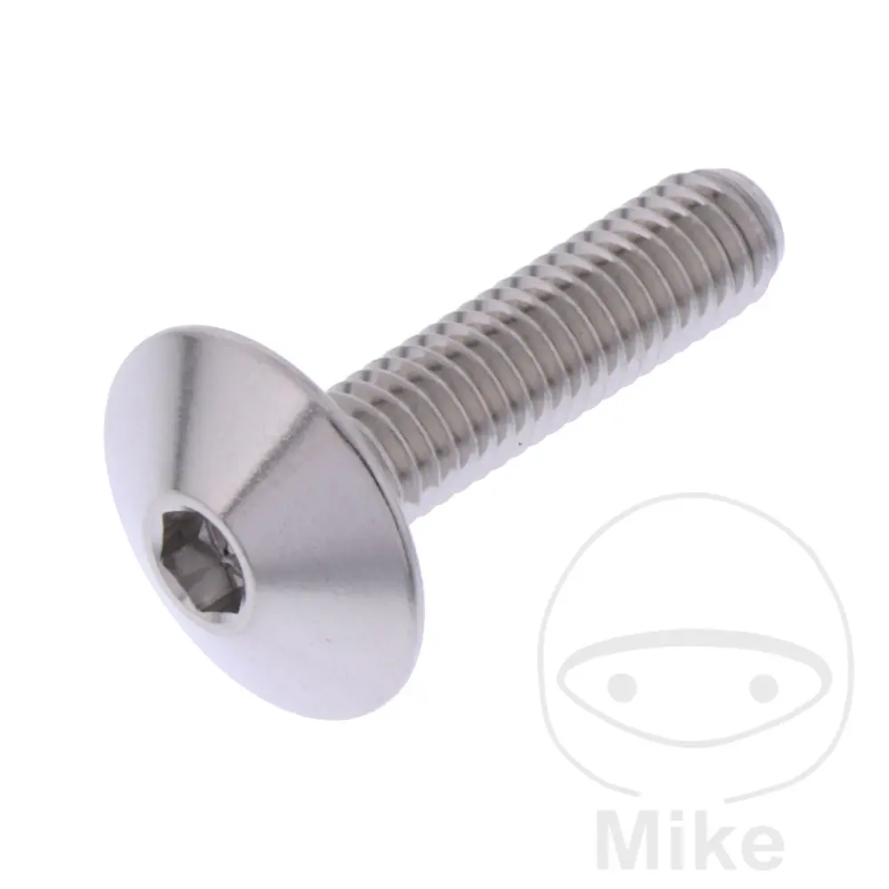 M6x1.00 মিমি 25 মিমি স্টেইনলেস স্টিল V4A ডোম হেড স্ক্রু JMP