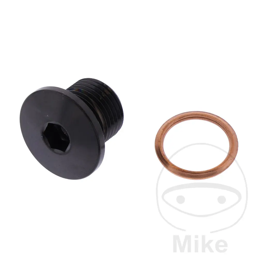 برغي BTR CHC M14x1,25 mm 11 mm من الفولاذ المقاوم للصدأ V4A من JMP
