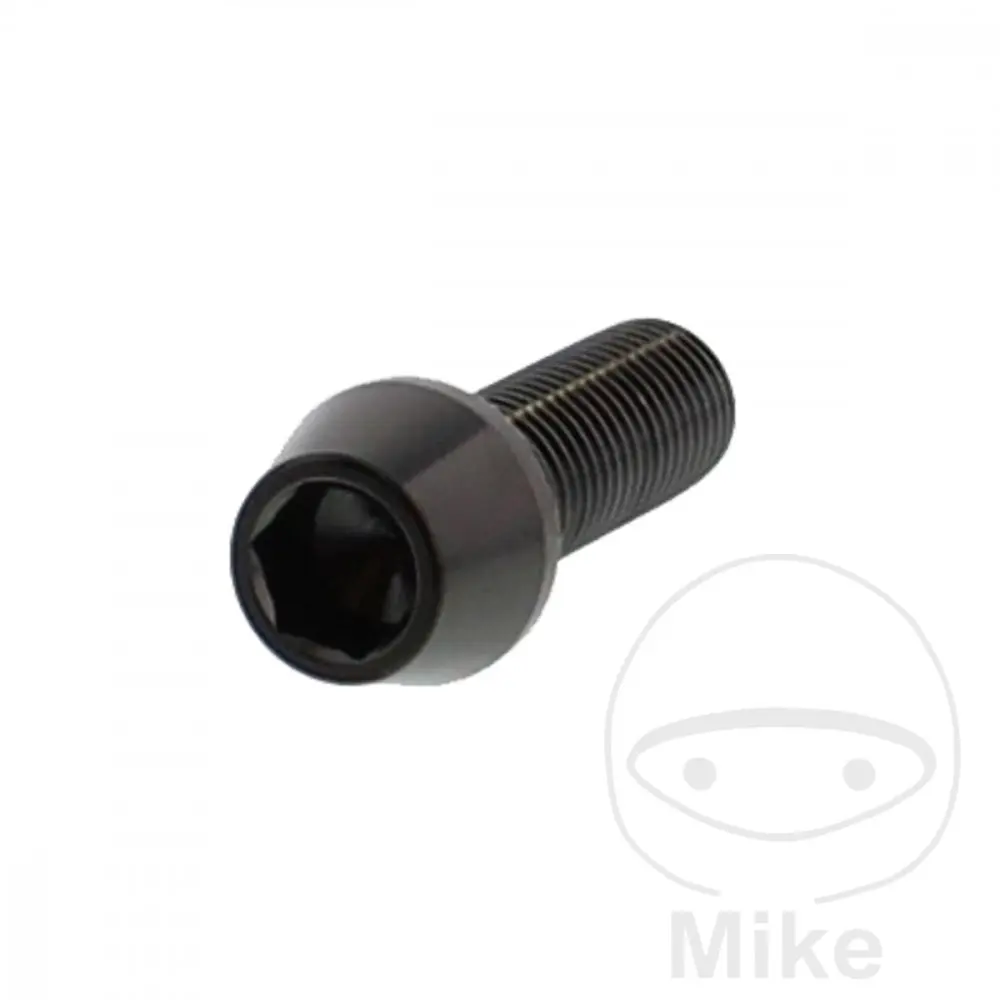Kūginė galvutės varžtė BTR M10 x 1.25 mm 30 mm Nerūdijantis plienas V4A JMP