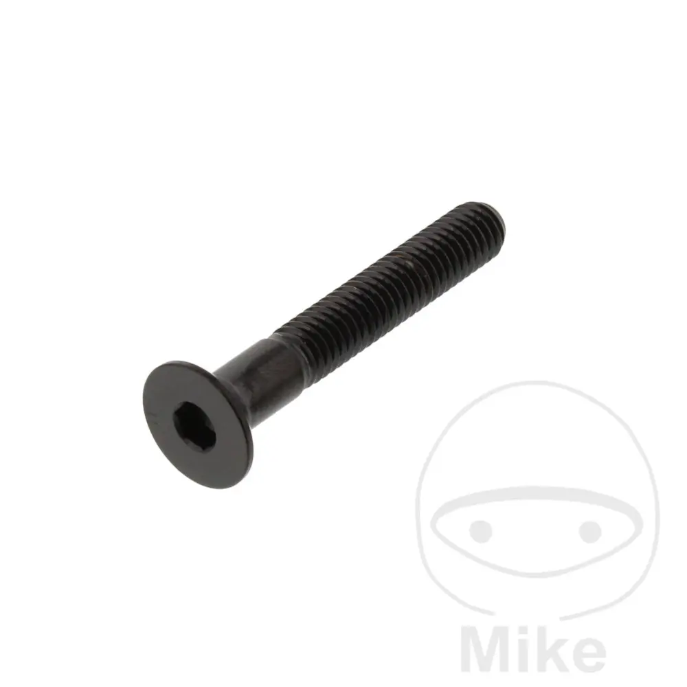 침핑 머리 볼트 M6x1.00 40 mm 스테인리스 A4 블랙 JMP