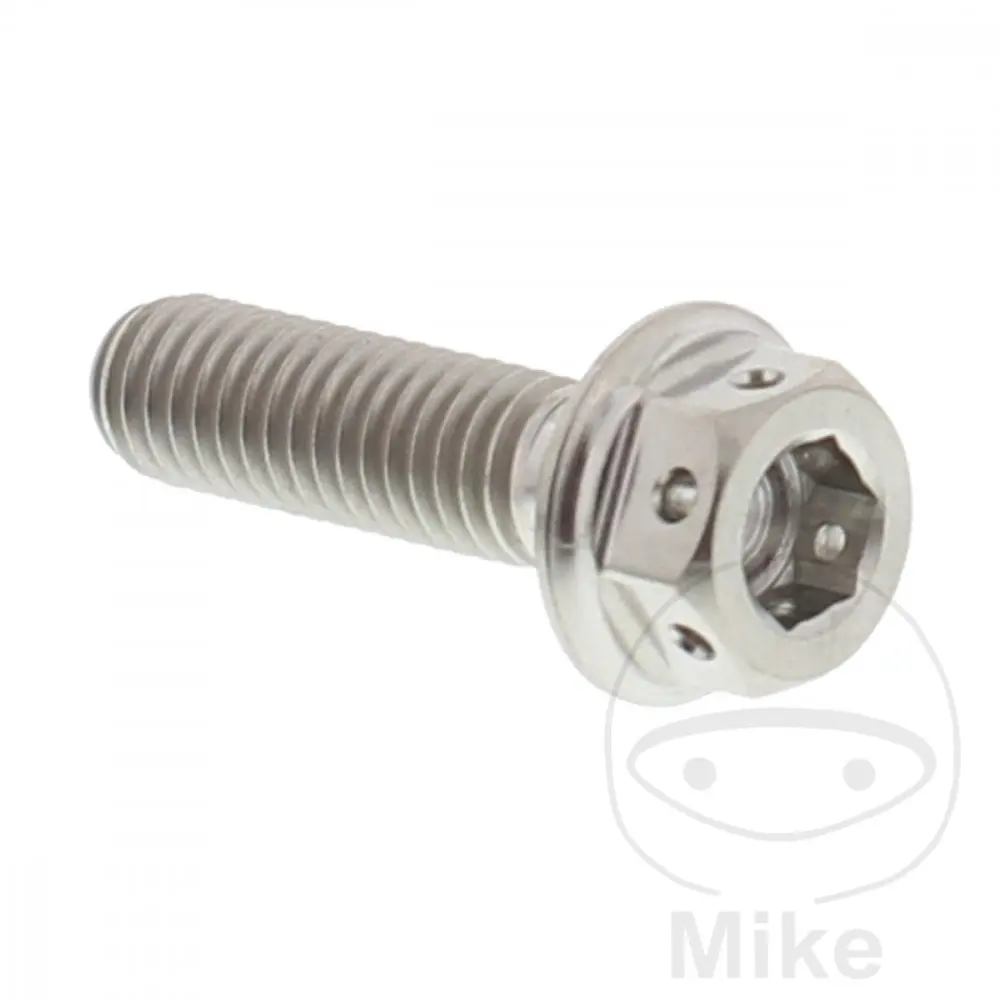 Dualdrive JMP Bolt M6x1.00 22 mm 티타늄 블리드 나사