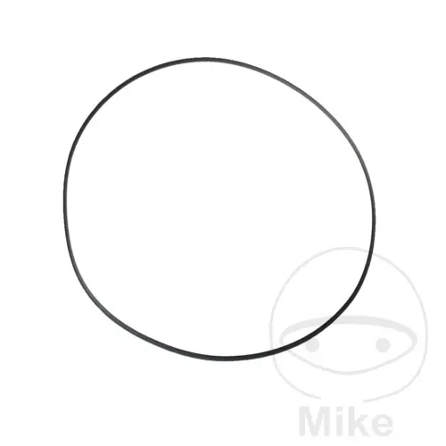 Joint torique O-Ring 3x200 mm Athena