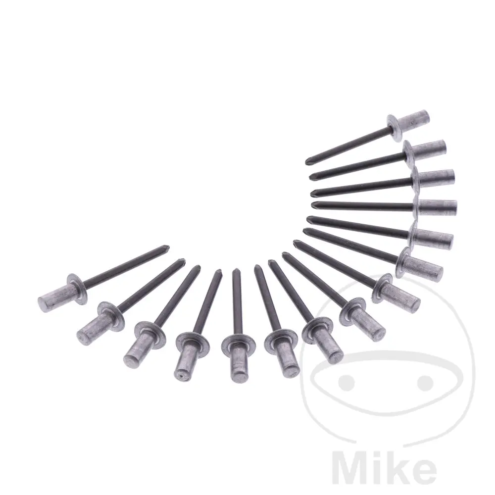 Rivets aveugles aluminium 4.8x11 mm SP