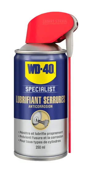 Schloss-Schmiermittel WD-40 Specialist Sprühdose 250 ml