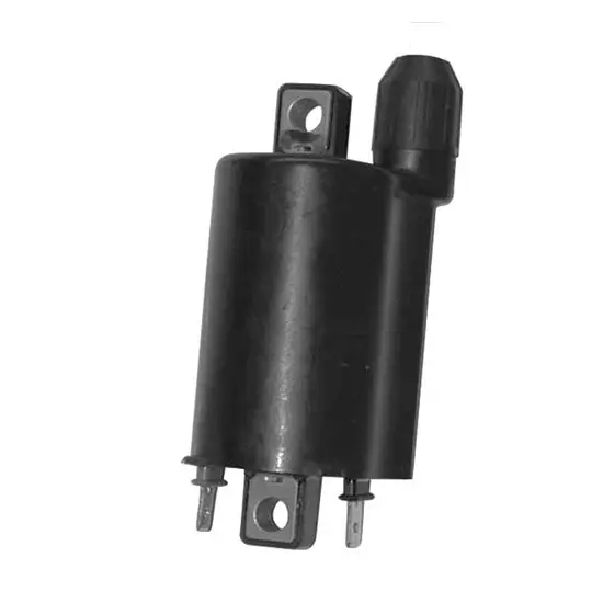 Zündspule SGR anpassbar Maxiscooter 125-300 cm³
