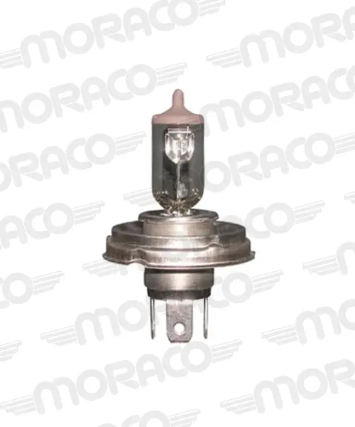 Hert H4 (R2) Bulb