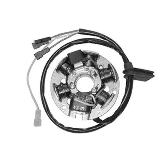 Ducati Energia Stator