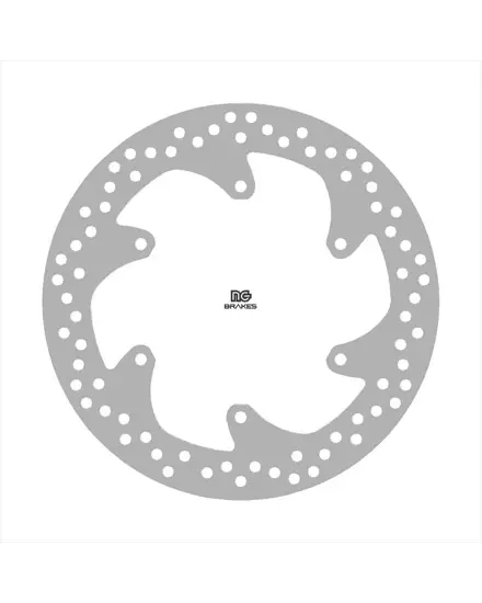 NG Brakes قرص فرامل خلفي ثابت DIS1361