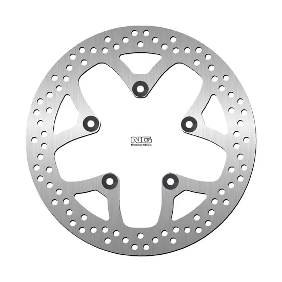 NG BRAKES پیچھے کا فکسڈ بریک ڈسک DIS1556