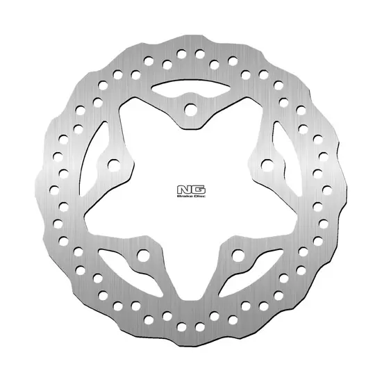 NG BRAKES پیچھے کی فکسڈ ویو بریک ڈسک DIS1589X