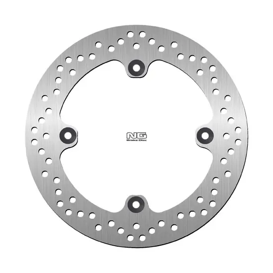 NG BRAKES پچھلا فکسڈ بریک ڈسک DIS1604