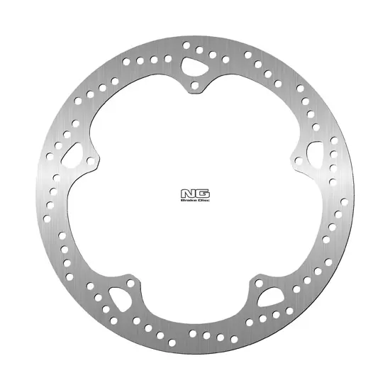 NG Brakes فکسڈ ریئر بریک ڈسک DIS2096