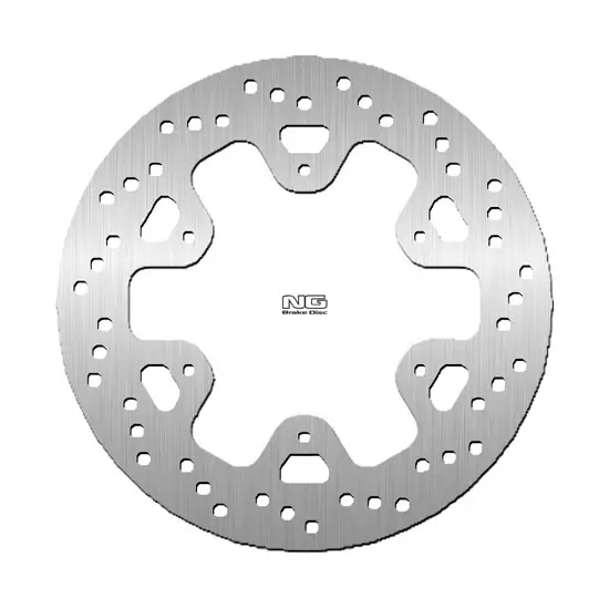NG BRAKES DIS405 ریئر فکسڈ بریک ڈسک