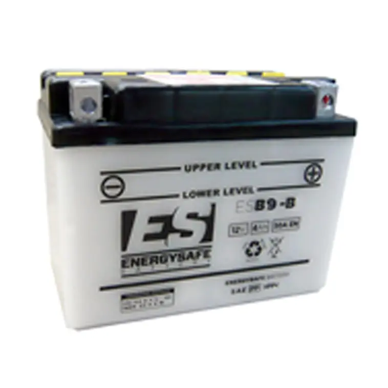 Batterie ENERGY SAFE ESB9-B 12V/9Ah avec pack acide inclus
