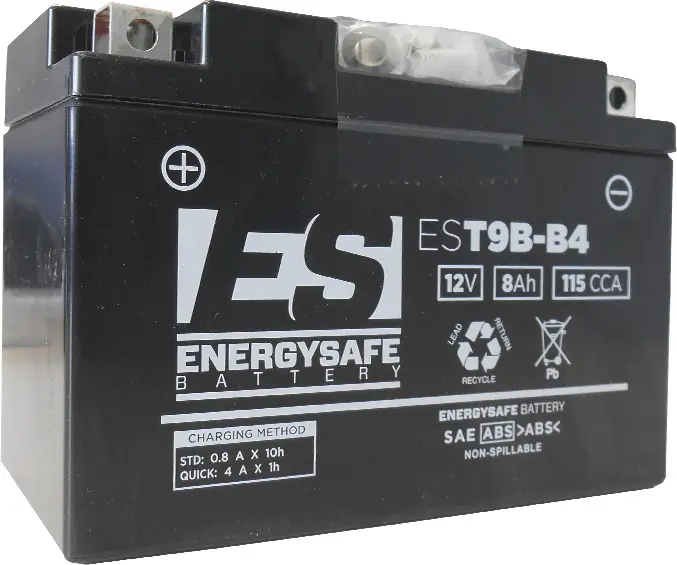 Batterie Energy Safe EST9B-4 sans entretien