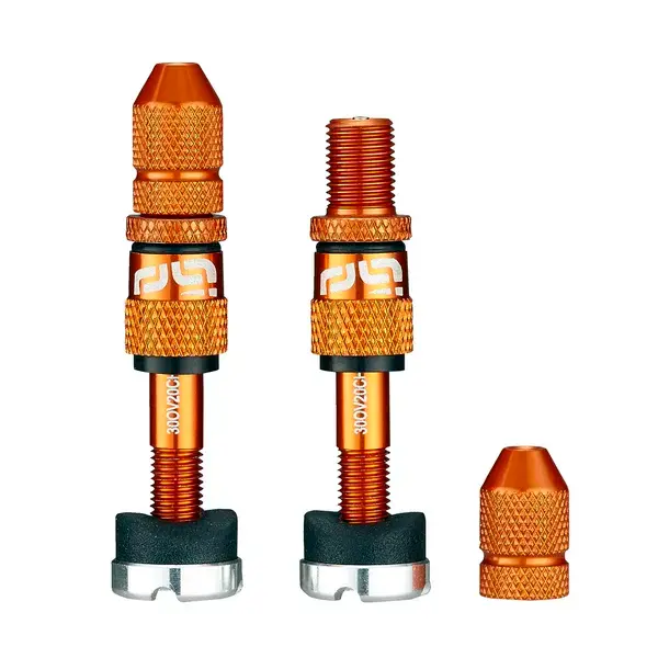 Lot de valves tubeless Schrader à remplissage rapide E*THIRTEEN