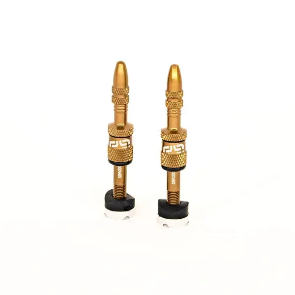 Lot de valves tubeless Presta à remplissage rapide E*THIRTEEN