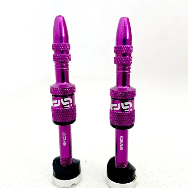 Lot de valves tubeless Presta à remplissage rapide E*THIRTEEN