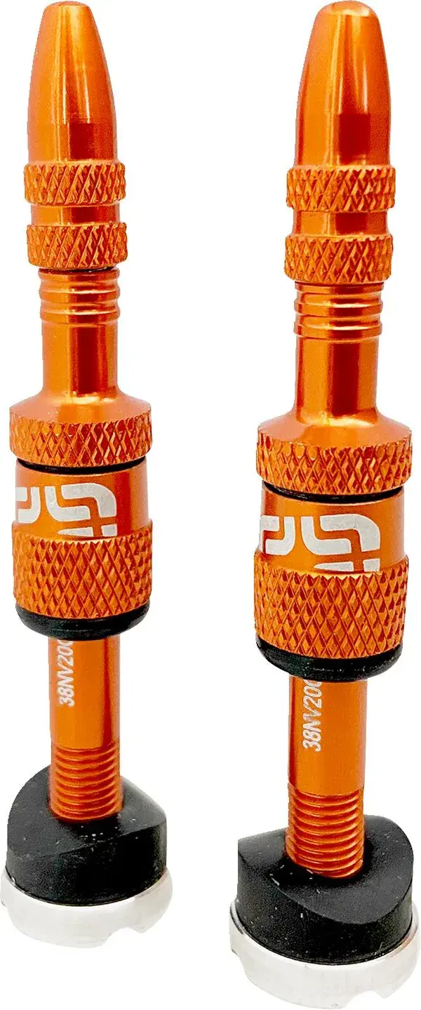 Lot de valves tubeless Presta à remplissage rapide E*THIRTEEN