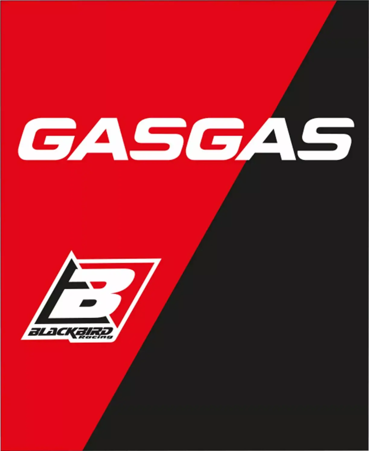 BLACKBIRD RACING 그립 커버