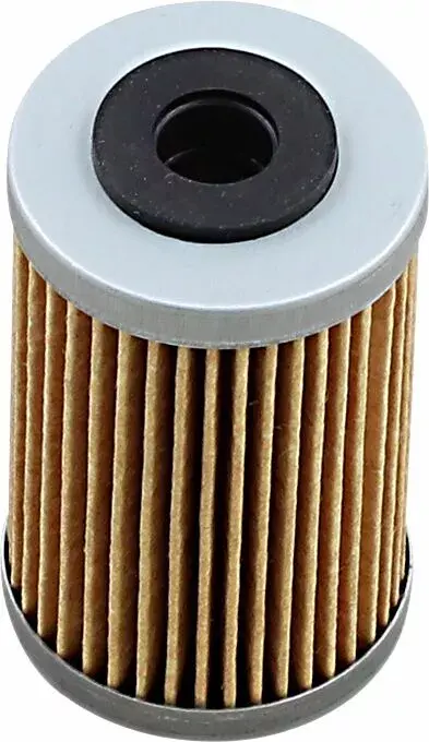 Filtre à huile EMGO KTM 77038005000