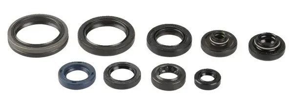 Wellendichtring-Satz für Motor Athena
