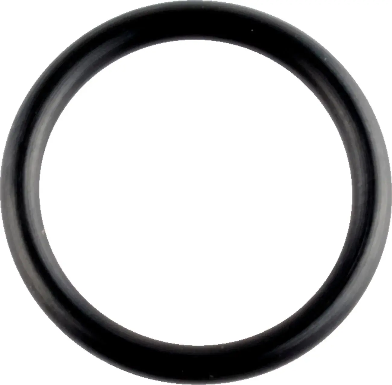 O-Ring WSM