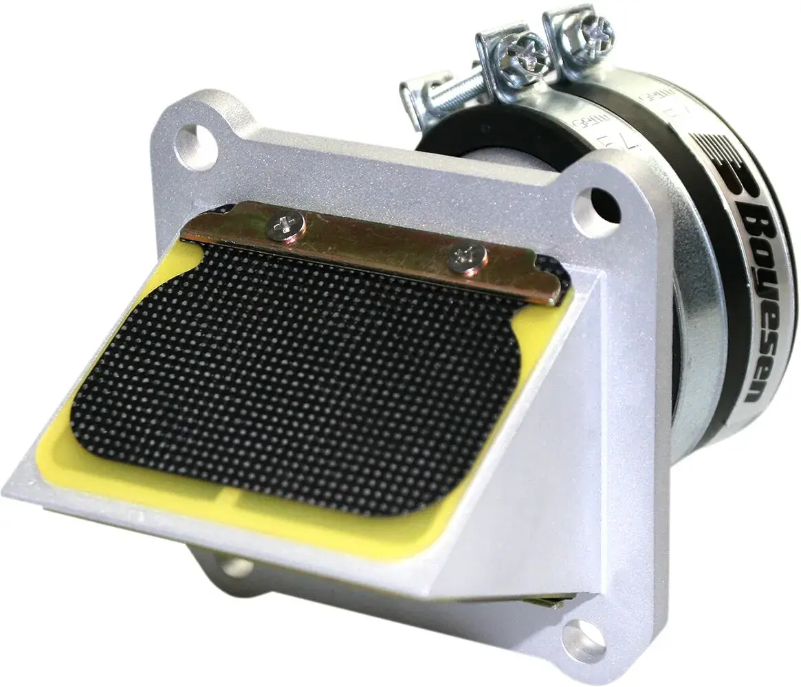 Ensemble cage à clapets Rad Valve BOYESEN