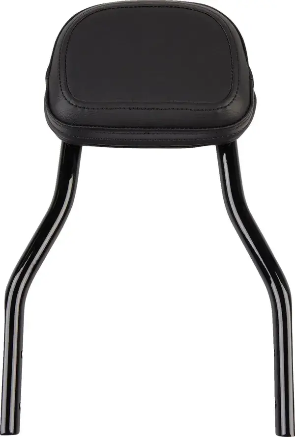 Cobra 取り外し可能バックレストキット