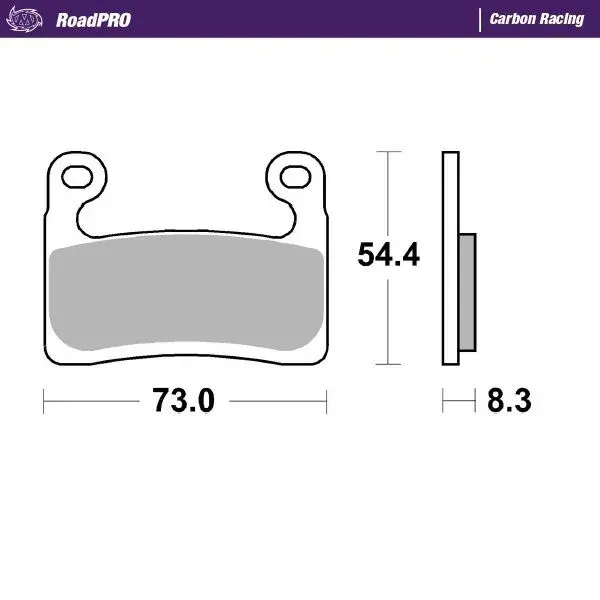 RoadPRO MOTO-MASTER 카본 브레이크 패드