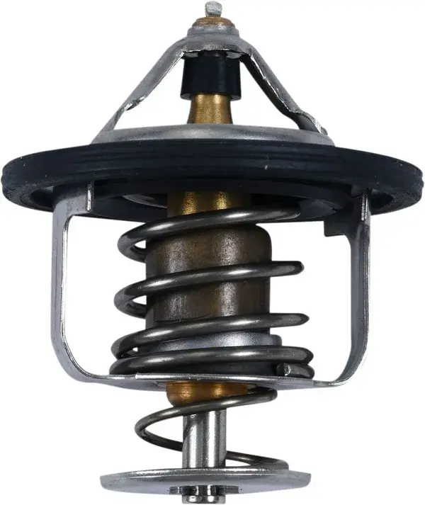 Thermostat All Balls Polaris