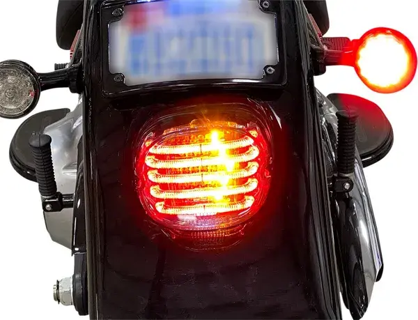 مصابيح خلفية LED ProBEAM مدمجة منخفضة المظهر مع إشارات منعطف مساعدة CUSTOM DYNAMICS