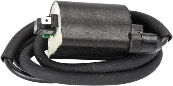 Rick's Motorsport Electric اگنیشن کوائل