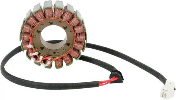 Stator Rick's Motorsport Electric Ducati 996 99-01