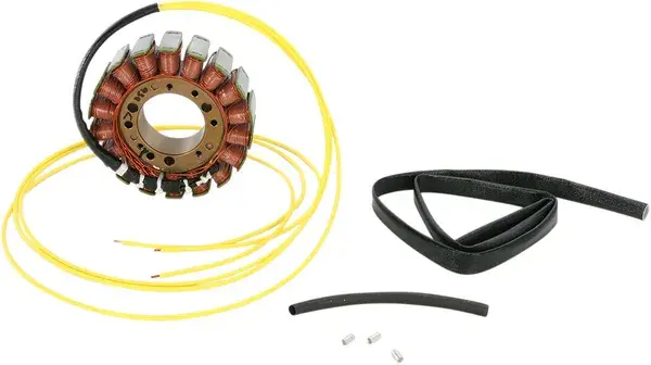 Stator Can-Am Rick's Motorsport Electric