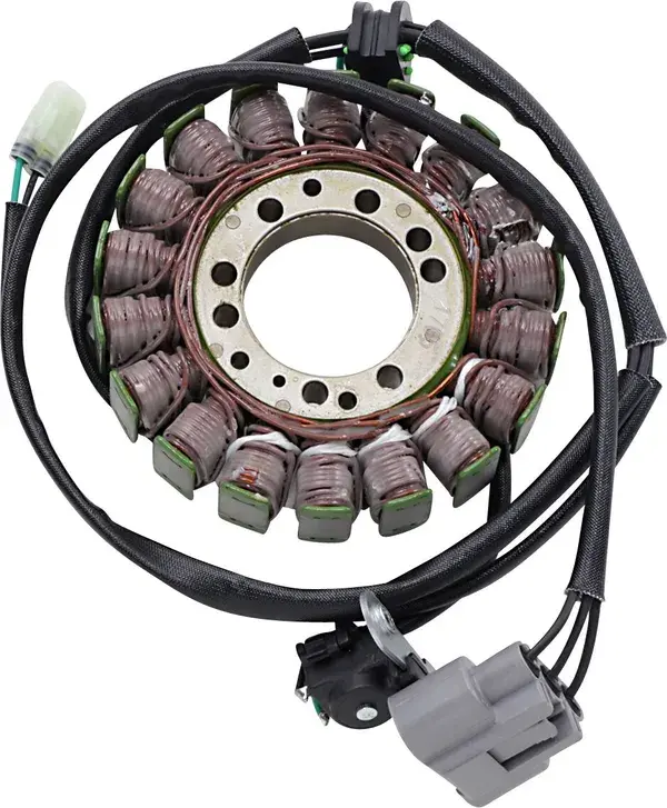 Stator style OEM Rick's Motorsport Electric