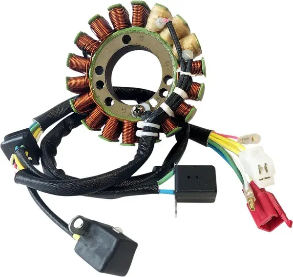 Stator im OE-Stil Rick's Motorsport Electric