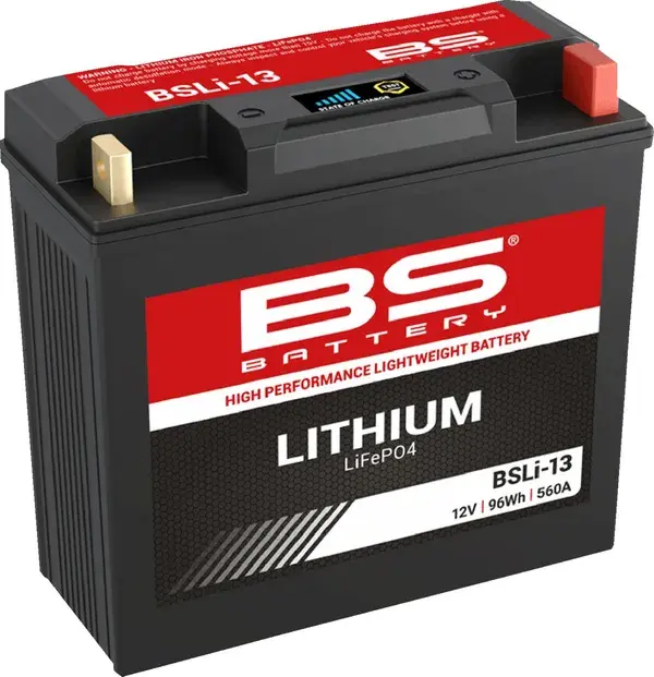 BS Battery لیتھیم LiFePO4 بیٹری