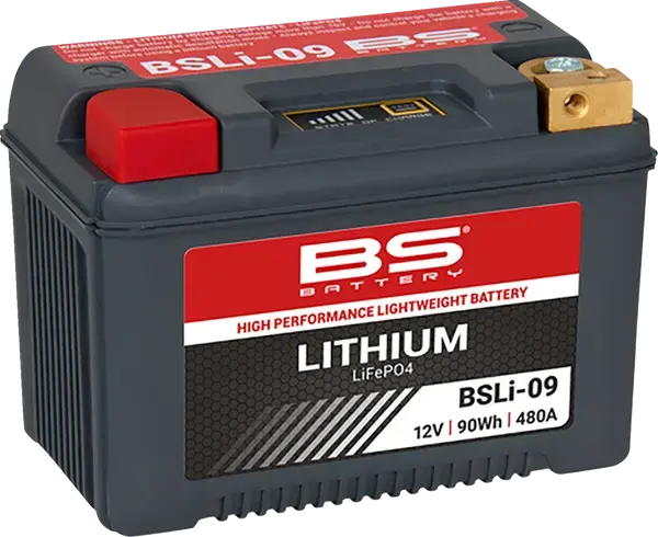 Batterie Lithium LiFePO4 BS Battery