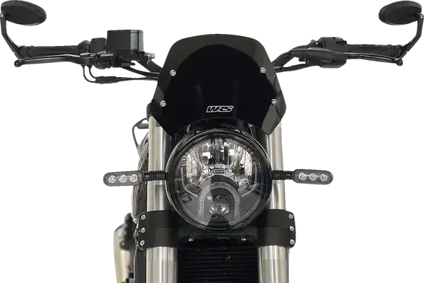 Kaca Depan (Windshield) WRS — tampak ke-4
