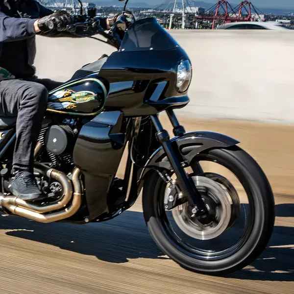 S-RT SADDLEMEN Verkleidungsunterteile — Ansicht 2