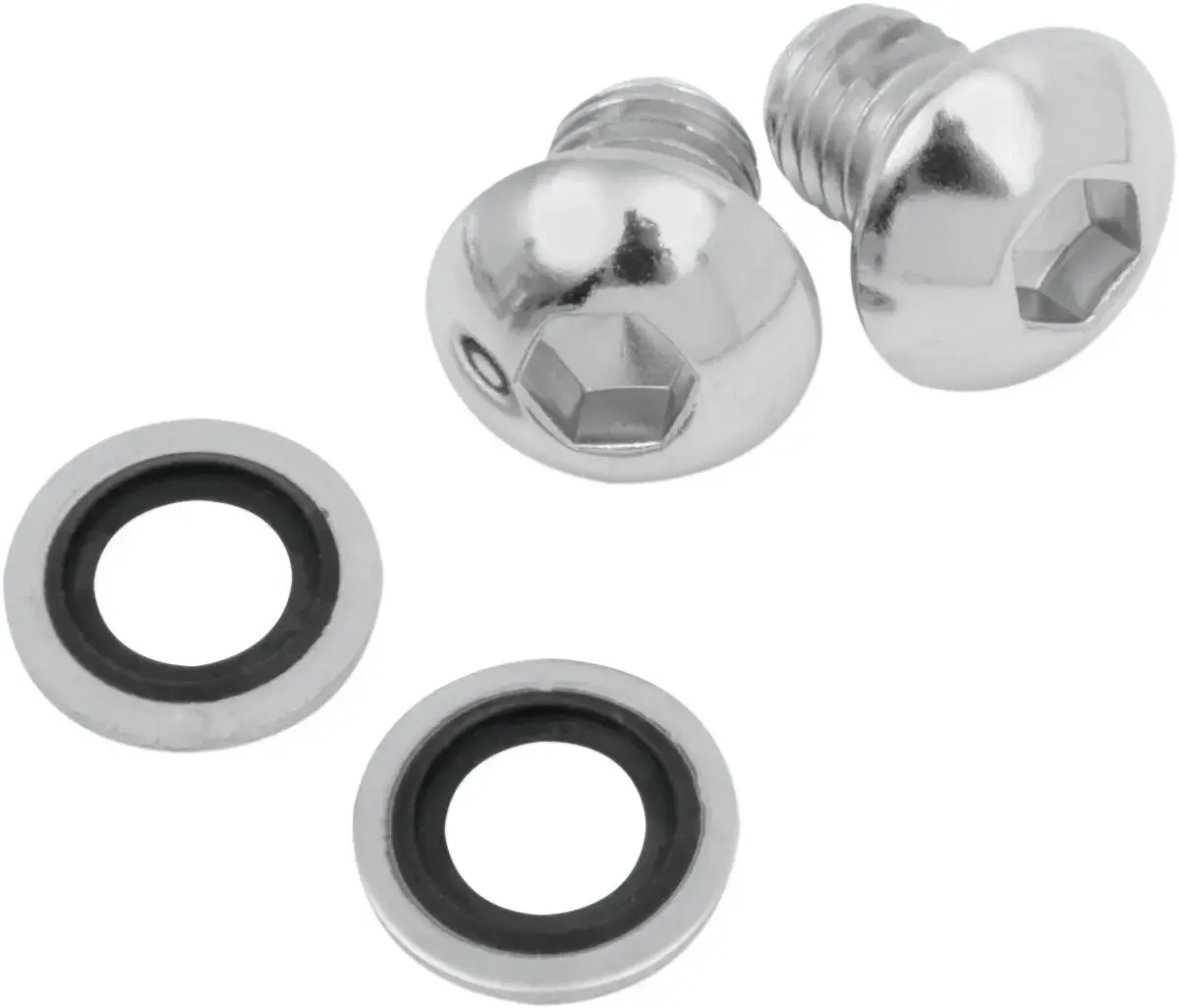Gabel-Entlüftungsschrauben-Set James Gasket