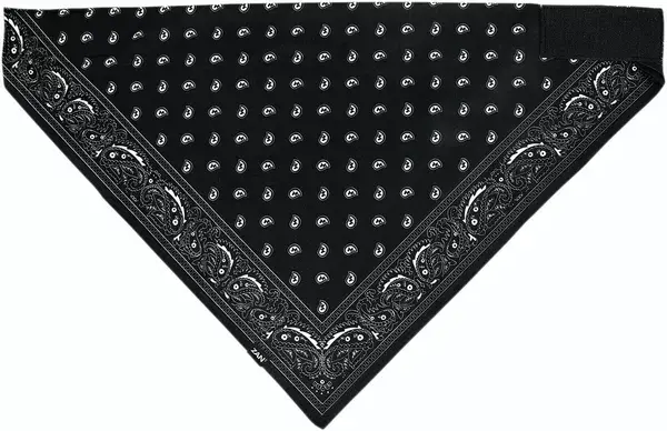 Bandana Sportflex Série ZAN HEADGEAR